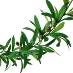 1.85m Olive Green Leaf Artificial Plant Vine Garland Hanging Wedding Arch Decoration Wreath Garden Home Floral Decor - Image 5
